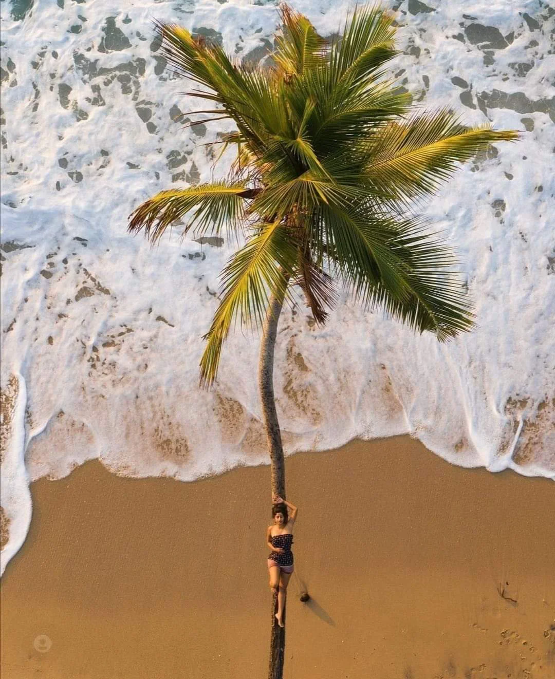 Sri Lankan coastline